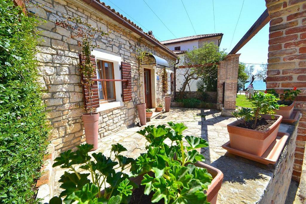 Villa Giardin Novigrad Istria Exterior foto